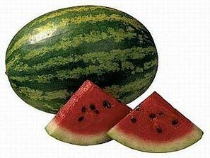 Watermelon diet for weight loss