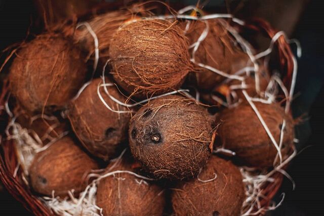 coconut and coconut oil for a ketogenic diet